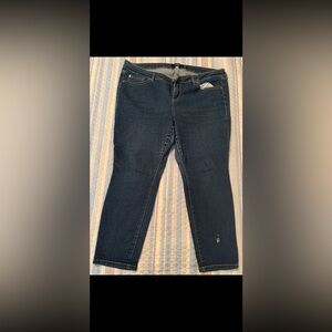 Torrid Dark Blue Skinny Jeans